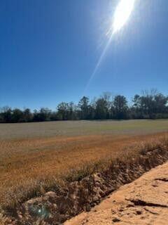 5123 Elmore Road, Marianna, FL 32446, Marianna - Photo 3