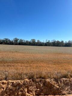 5123 Elmore Road, Marianna, FL 32446, Marianna - Photo 4