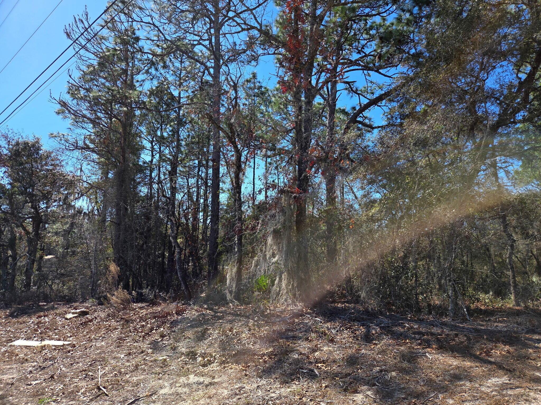 8 Marion Oaks Lane, Marion Oaks, FL 34473, Marion Oaks