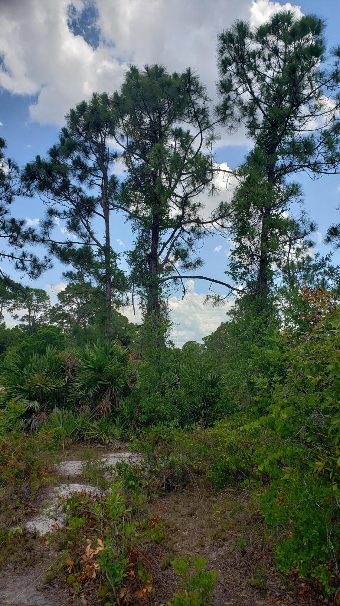 932 Island Parkway NE, Lake Placid, FL 33852, Lake Placid - Photo 4