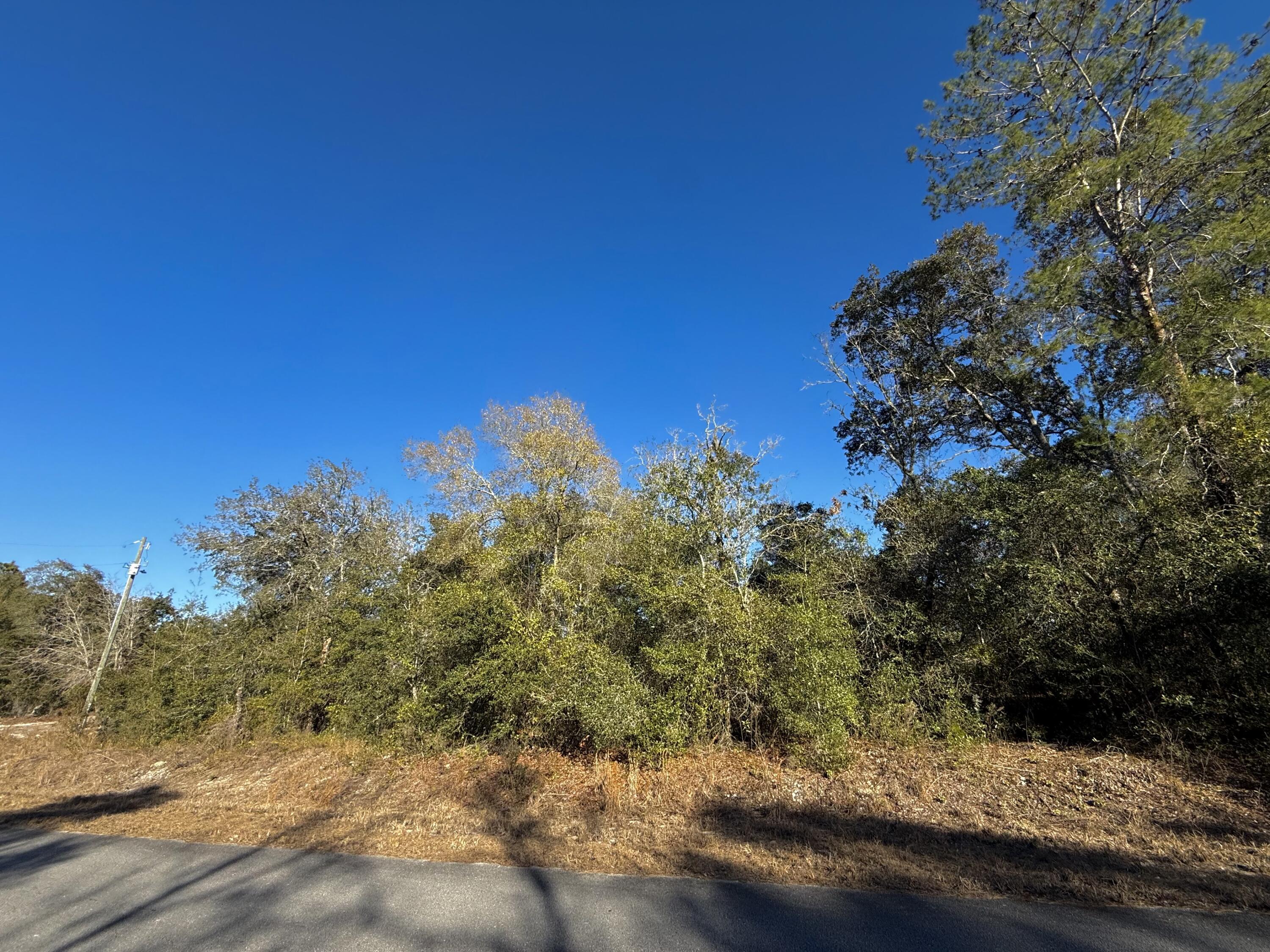 Tbd Lot 35 SW Lobelia Court, Dunnellon, FL 34431, Dunnellon - Photo 2