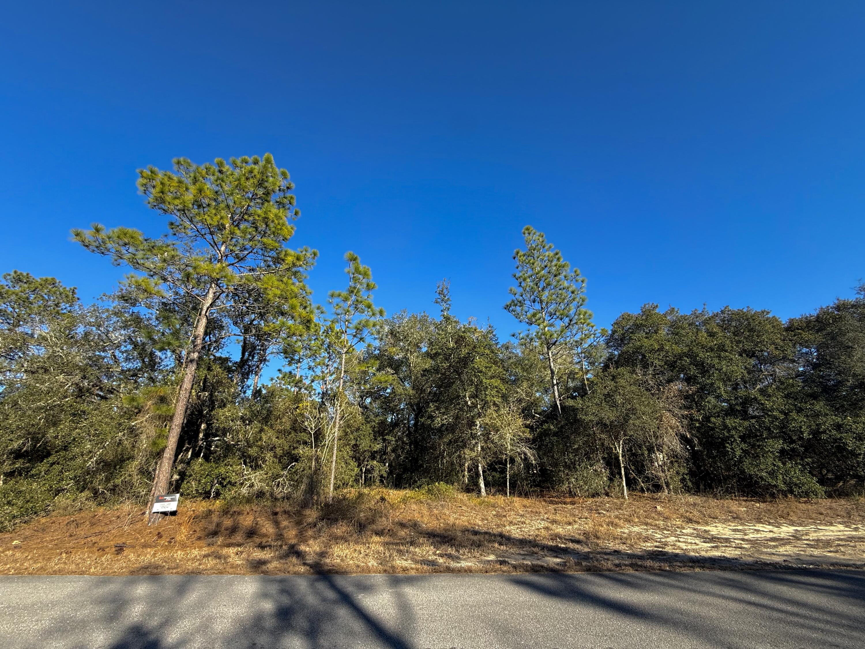 Tbd Lot 35 SW Lobelia Court, Dunnellon, FL 34431, Dunnellon - Photo 4