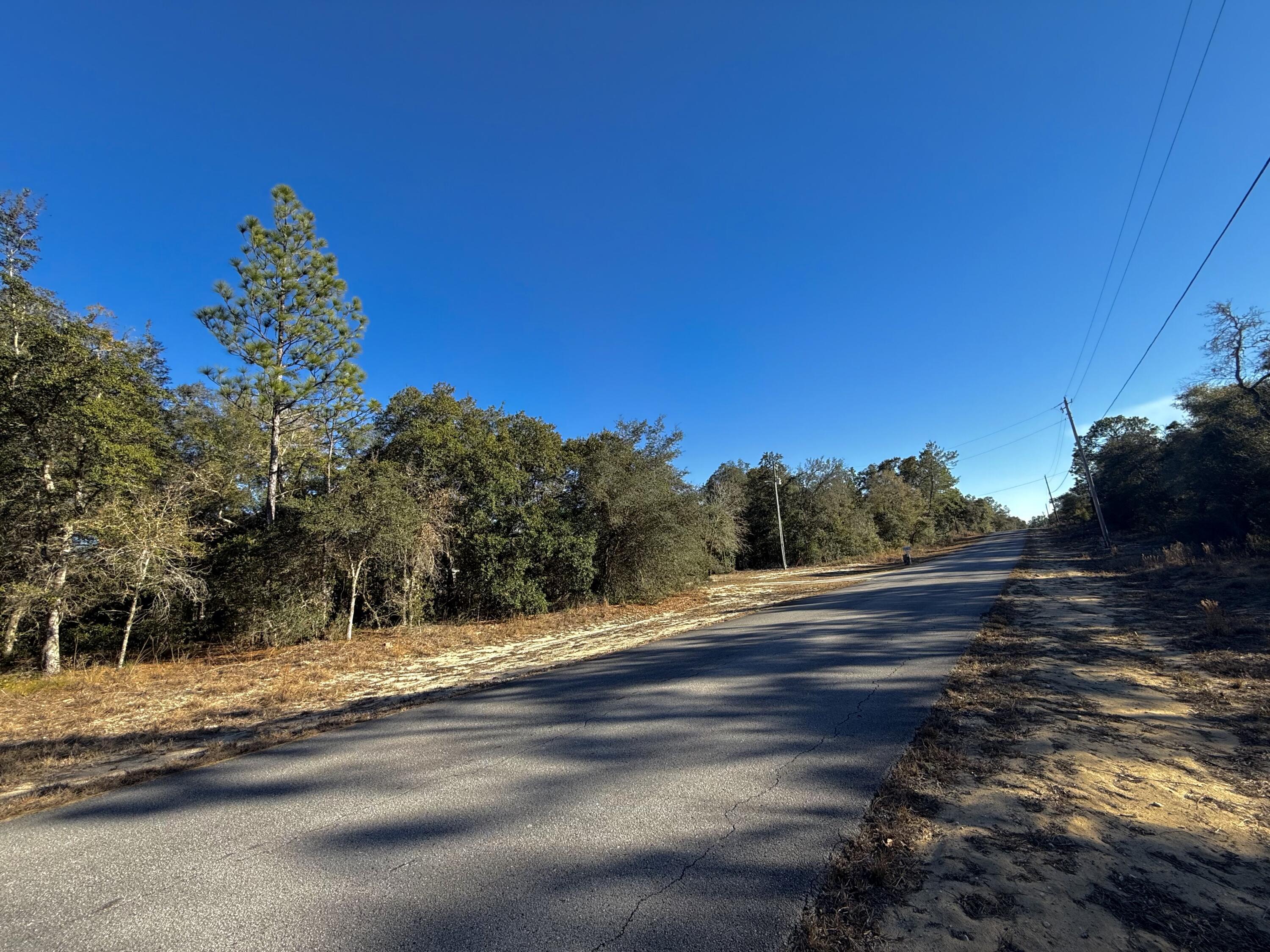 Tbd Lot 35 SW Lobelia Court, Dunnellon, FL 34431, Dunnellon - Photo 3