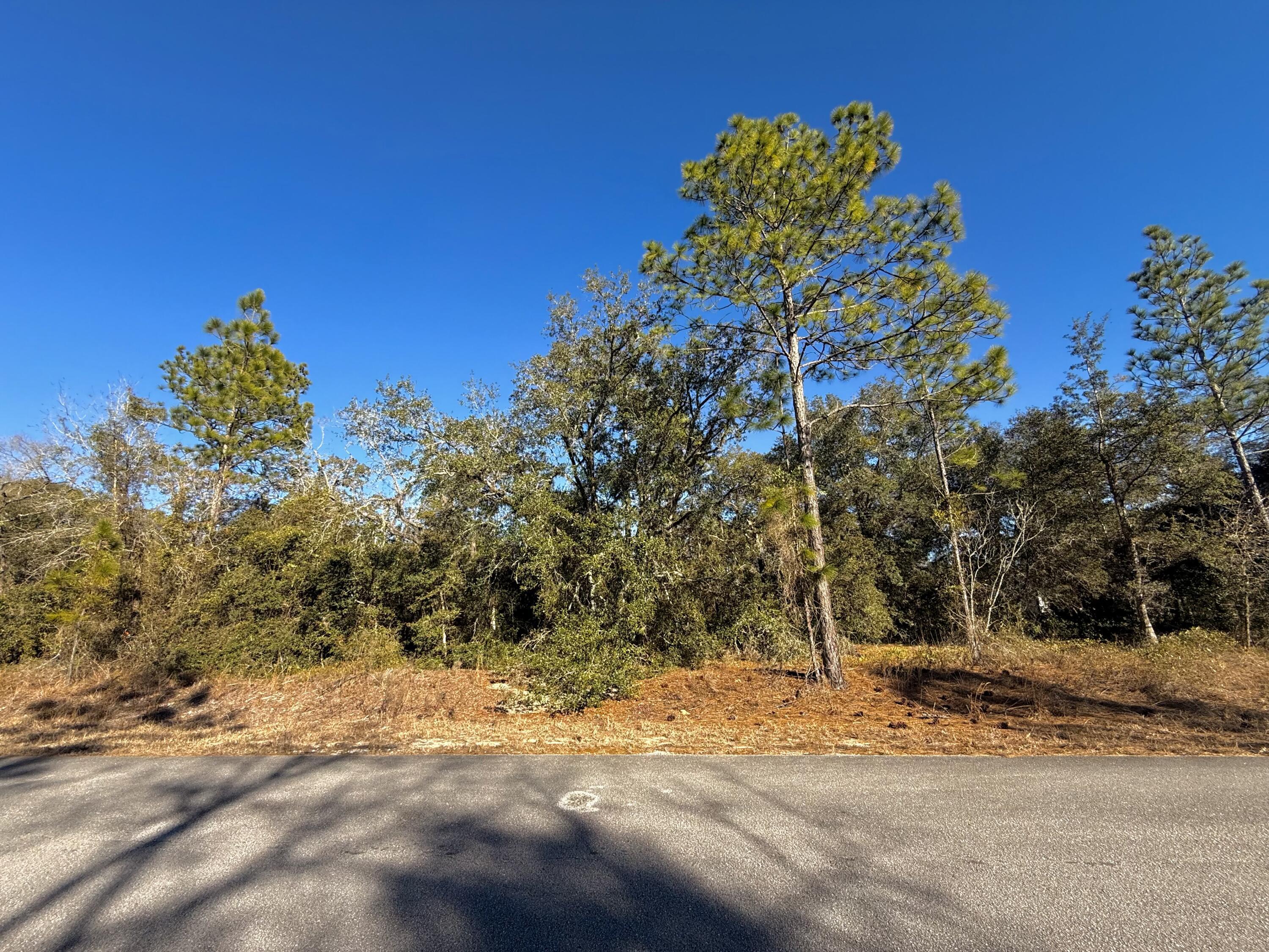 Tbd Lot 32 SW Lobelia Court, Dunnellon, FL 34431, Dunnellon - Photo 4