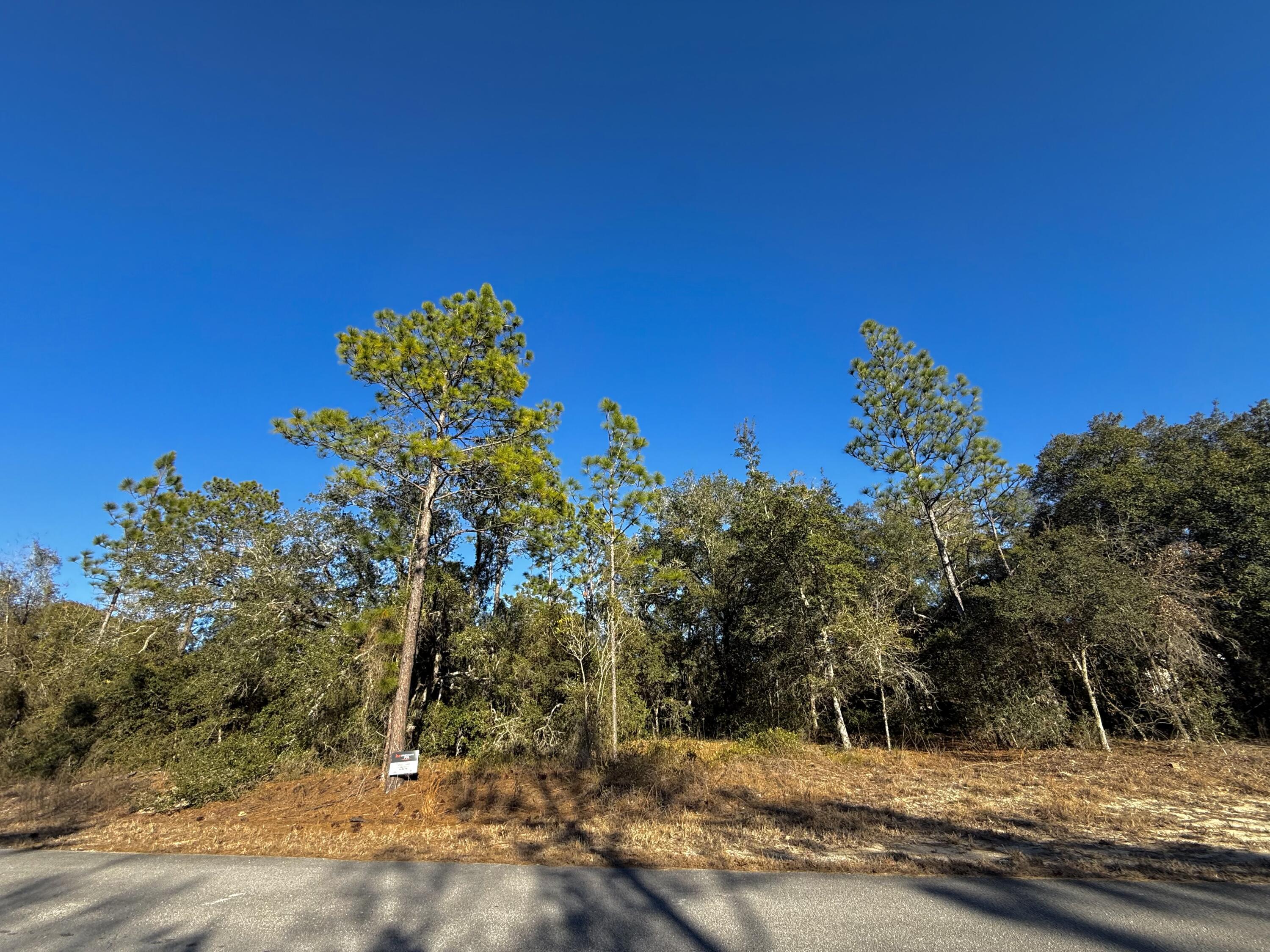 Tbd Lot 32 SW Lobelia Court, Dunnellon, FL 34431, Dunnellon - Photo 5