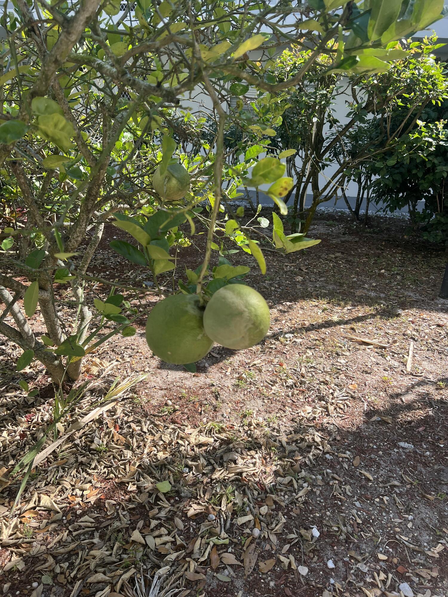 2302 Sunrise 3-201, Fort Pierce, FL 34949, Fort Pierce - Photo 4