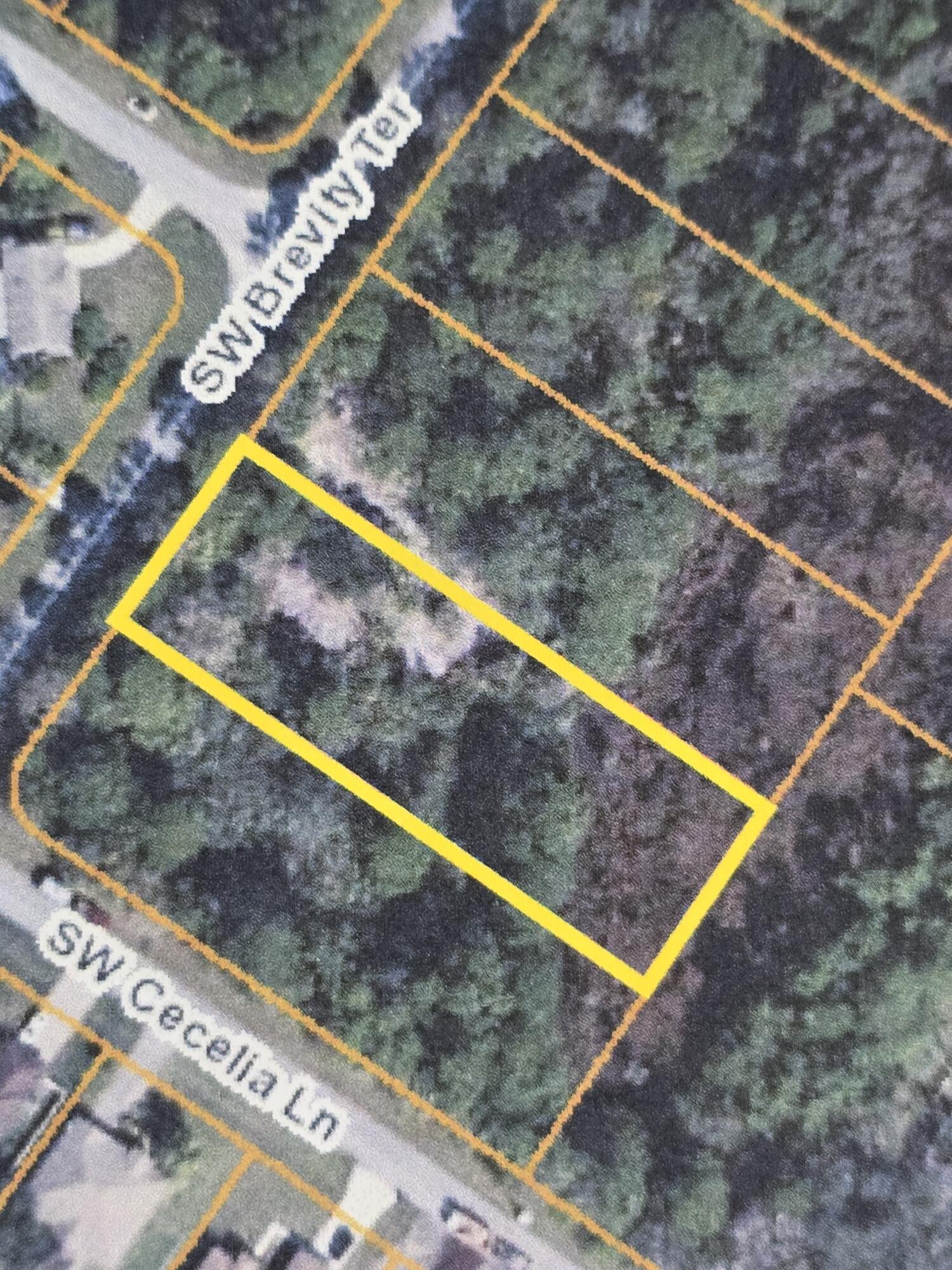 2085 SW Brevity Terrace, Port St. Lucie, FL 34953, Port St. Lucie - Photo 3