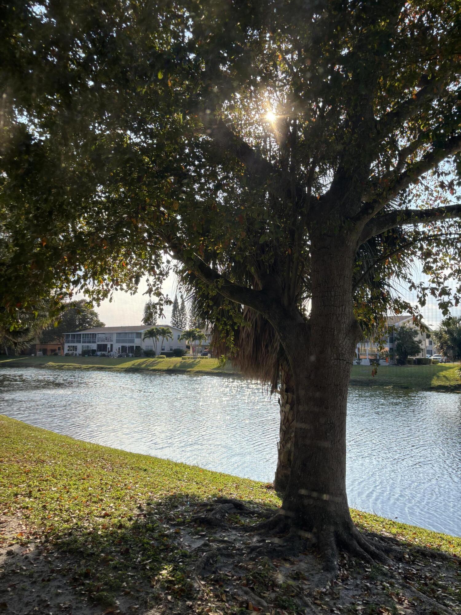 75 Sheffield D, West Palm Beach, FL 33417, West Palm Beach
