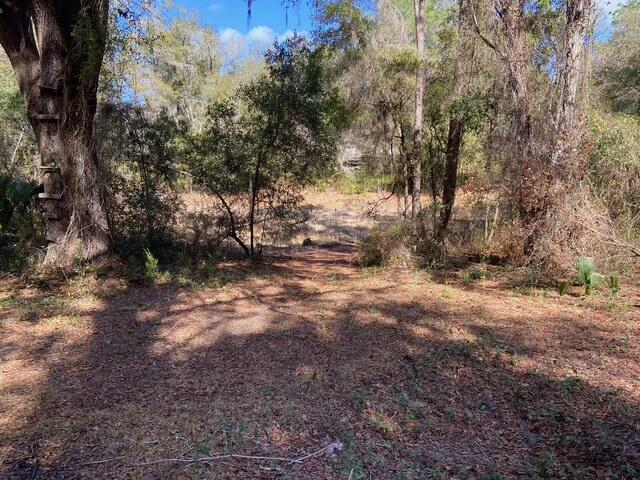 15137 NE 141st Street, Fort McCoy, FL 32134, Fort McCoy - Photo 4