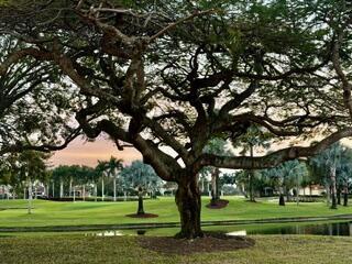 2518 2518 Coco Plum Blvd. 1202, Boca Raton, FL 33496, Boca Raton - Photo 3