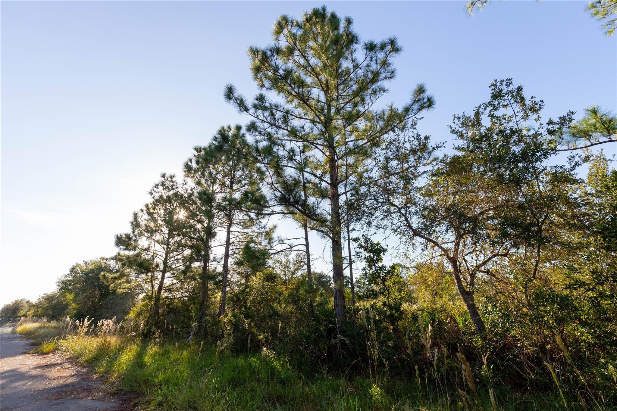754 American Street, Lake Placid, FL 33852, Lake Placid - Photo 5