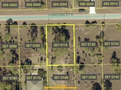 1246 Cordoba Street, Lehigh Acres, FL 33974, Lehigh Acres - Photo 4
