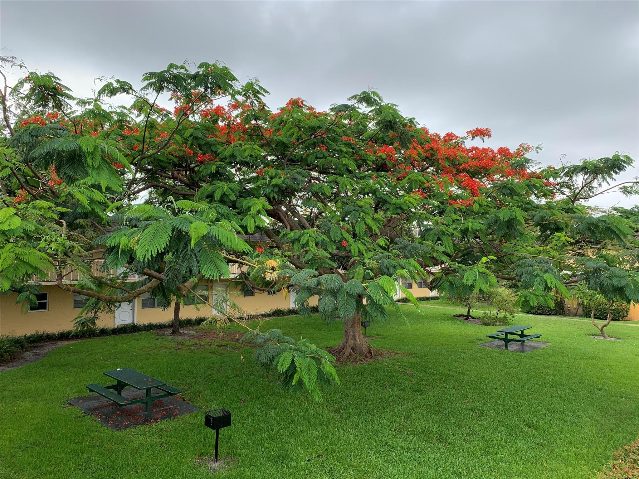 5168 NE 6th Avenue 426, Fort Lauderdale, FL 33334, Fort Lauderdale - Photo 2