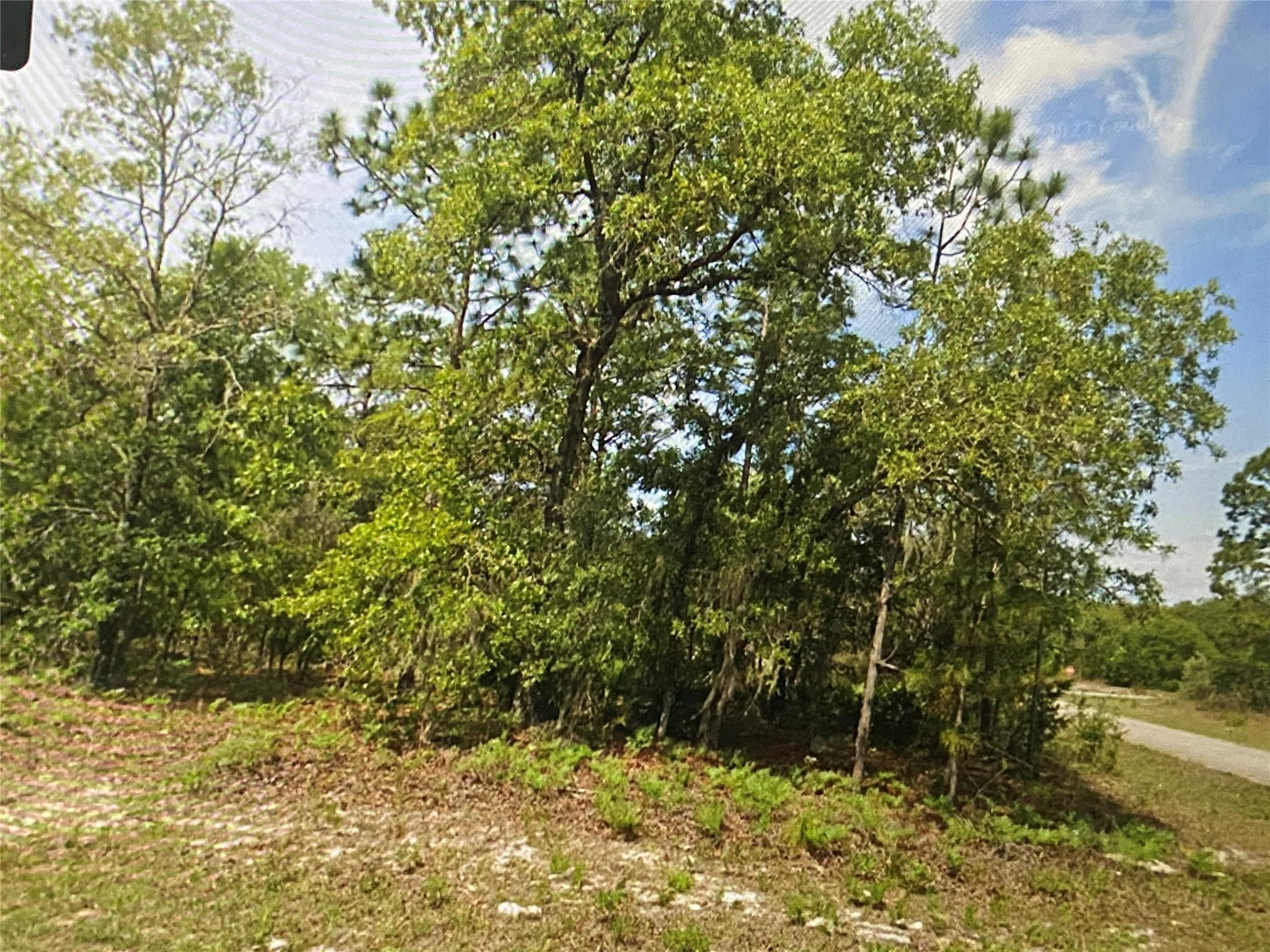 6689 N Bedstrow Boulevard, Citrus Springs, FL 34434, Citrus Springs - Photo 3