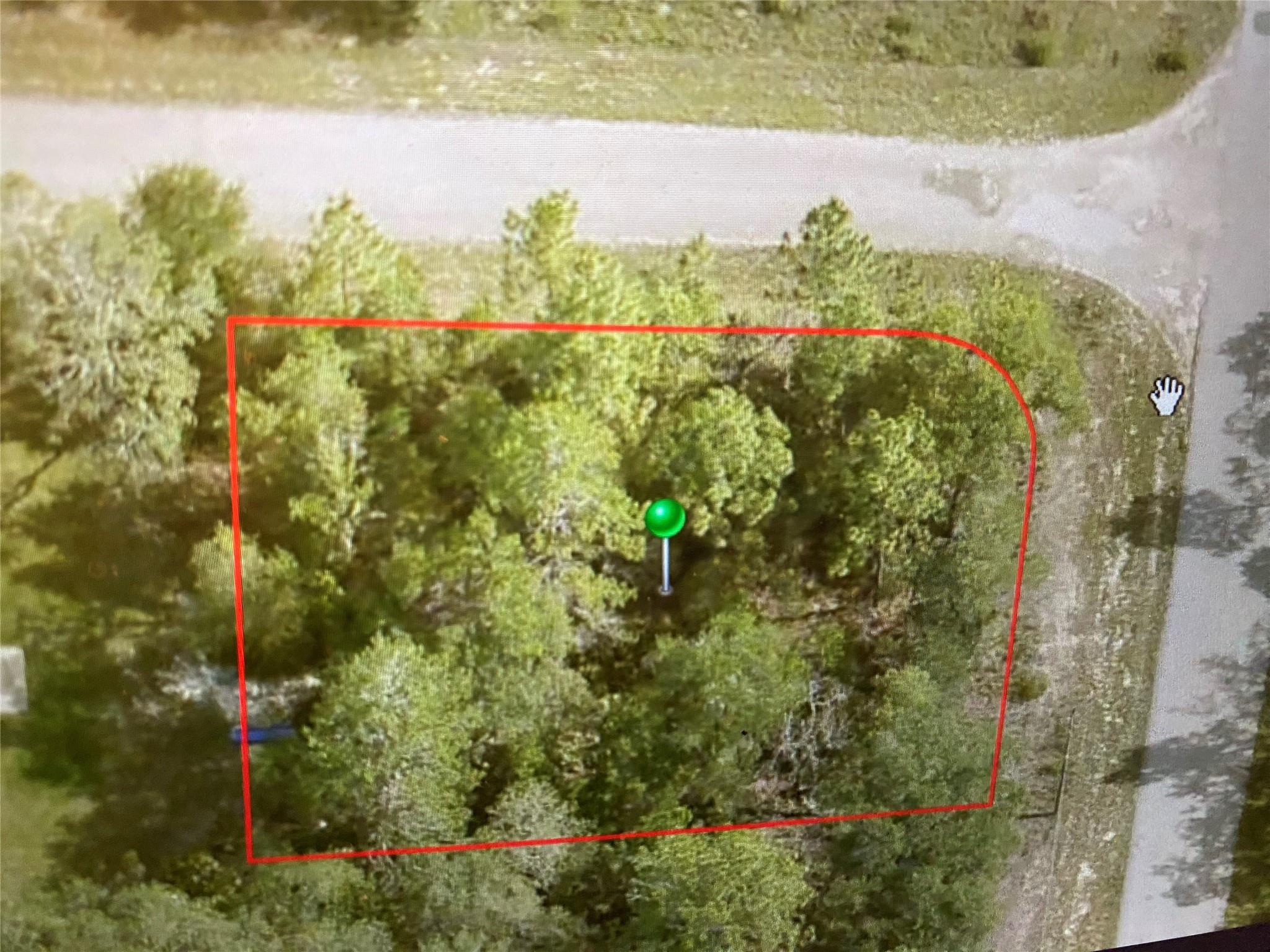 6689 N Bedstrow Boulevard, Citrus Springs, FL 34434, Citrus Springs - Photo 2