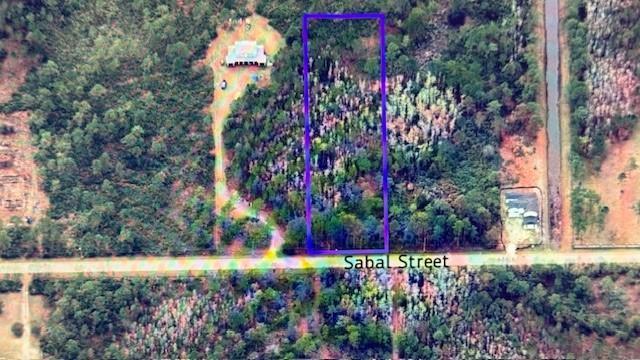 580 Sabal Street, Orlando, FL 32833, Orlando - Photo 3