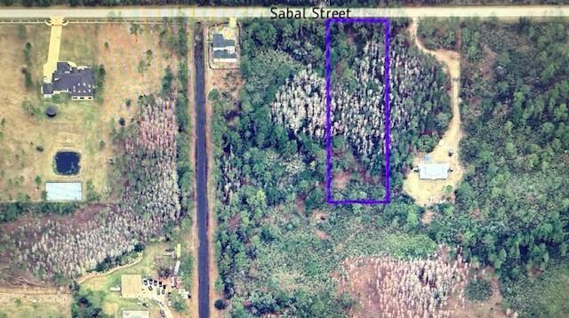 580 Sabal Street, Orlando, FL 32833, Orlando - Photo 4