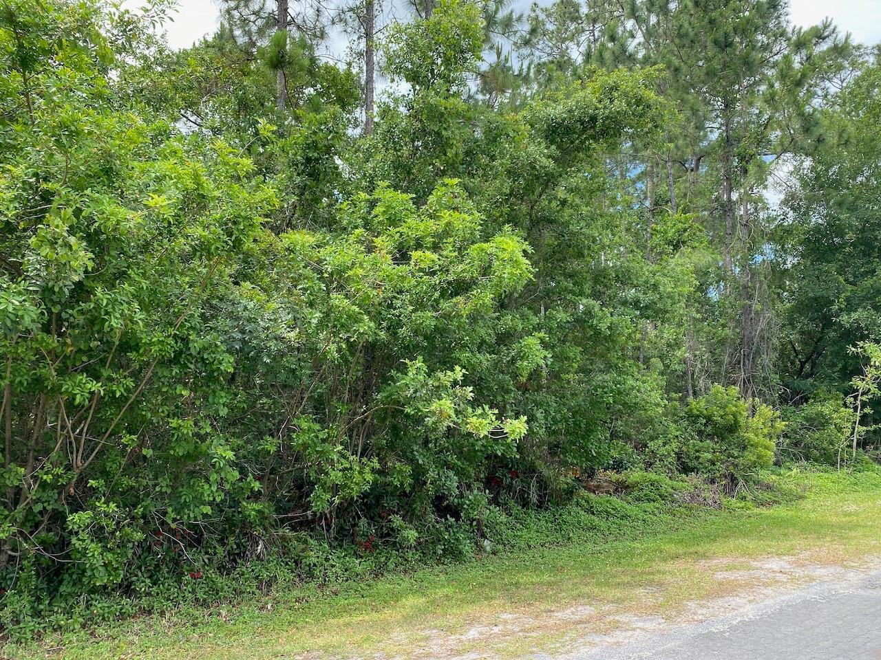 2351 Allamanda Drive, Indian Lake Estates, FL, Indian Lake Estates - Photo 2