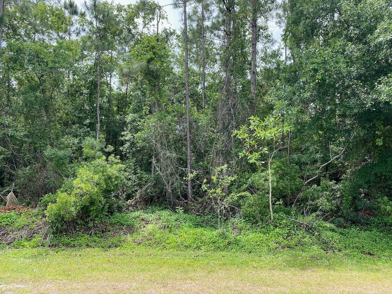 2351 Allamanda Drive, Indian Lake Estates, FL, Indian Lake Estates - Photo 4