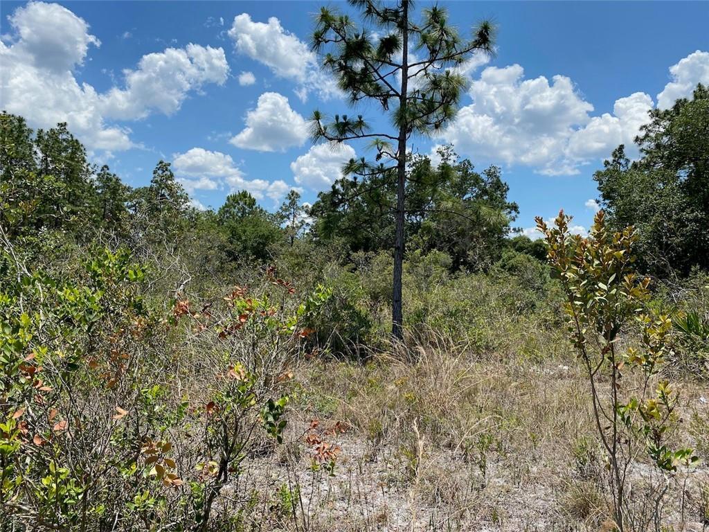 Lot 24 Indian Lake Drive, Indian Lake Estates, FL 33855, Indian Lake Estates - Photo 2
