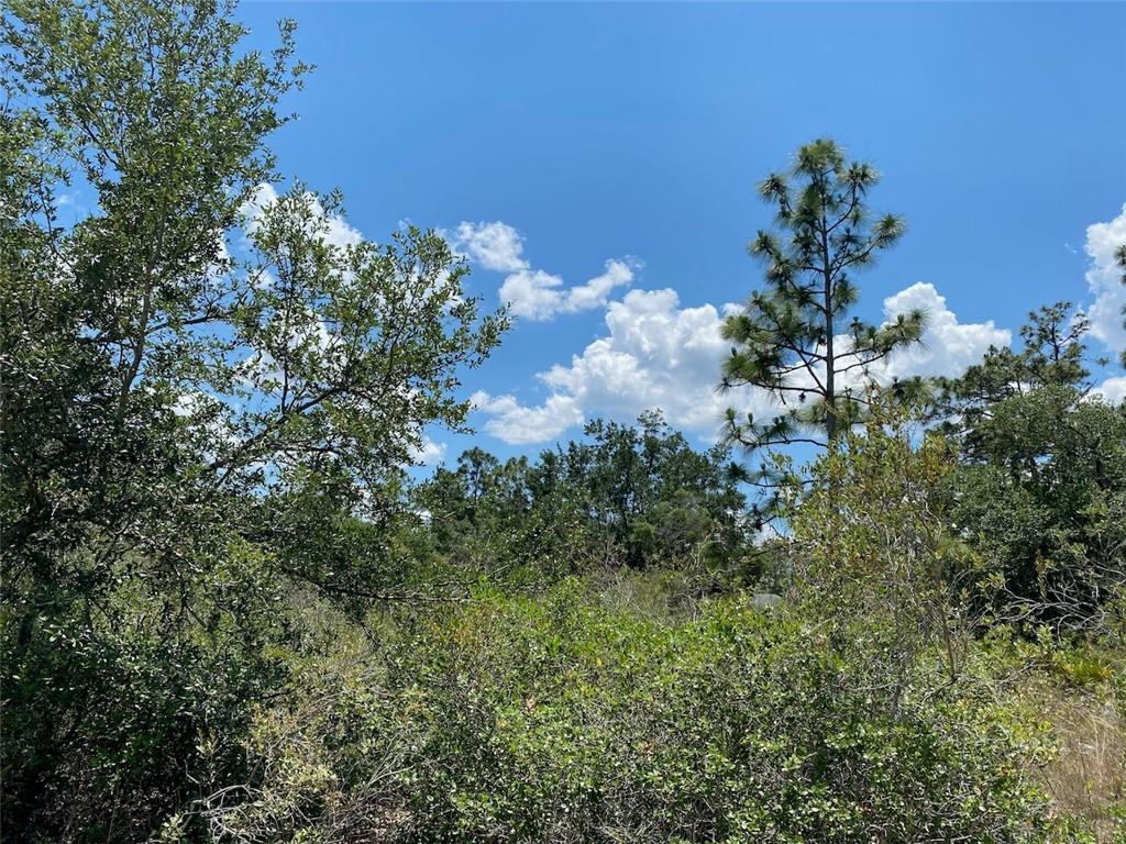 Lot 24 Indian Lake Drive, Indian Lake Estates, FL 33855, Indian Lake Estates