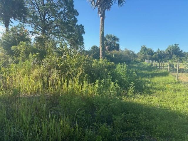 19216 NW 300th Street, Okeechobee, FL 34972, Okeechobee - Photo 3