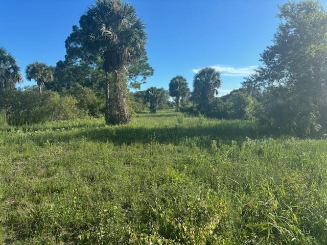 19216 NW 300th Street, Okeechobee, FL 34972, Okeechobee - Photo 4