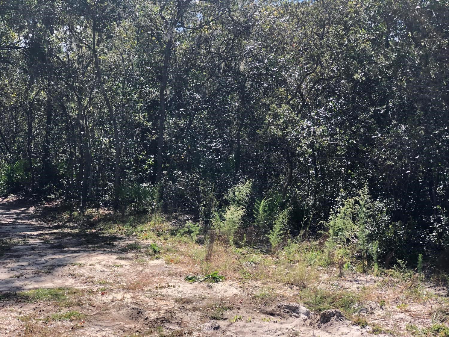 0 Oregon Street, Interlachen, FL 32148, Interlachen
