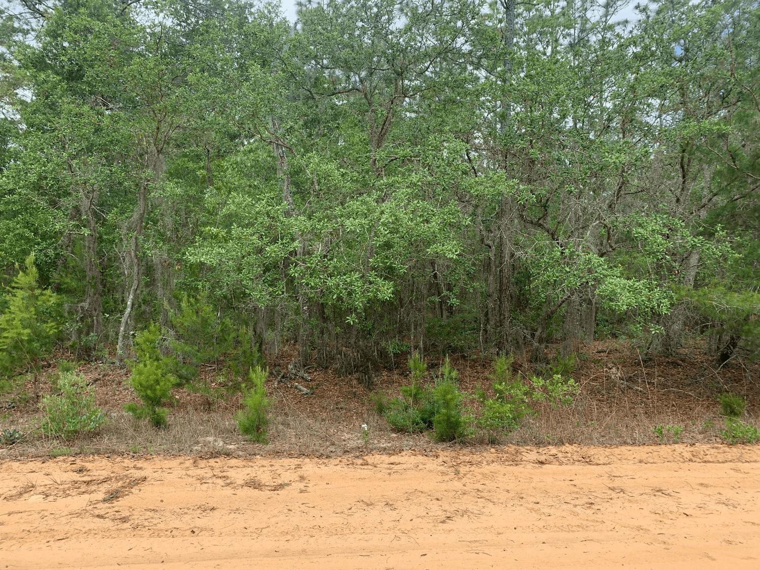 0 David Avenue, Interlachen, FL 32148, Interlachen