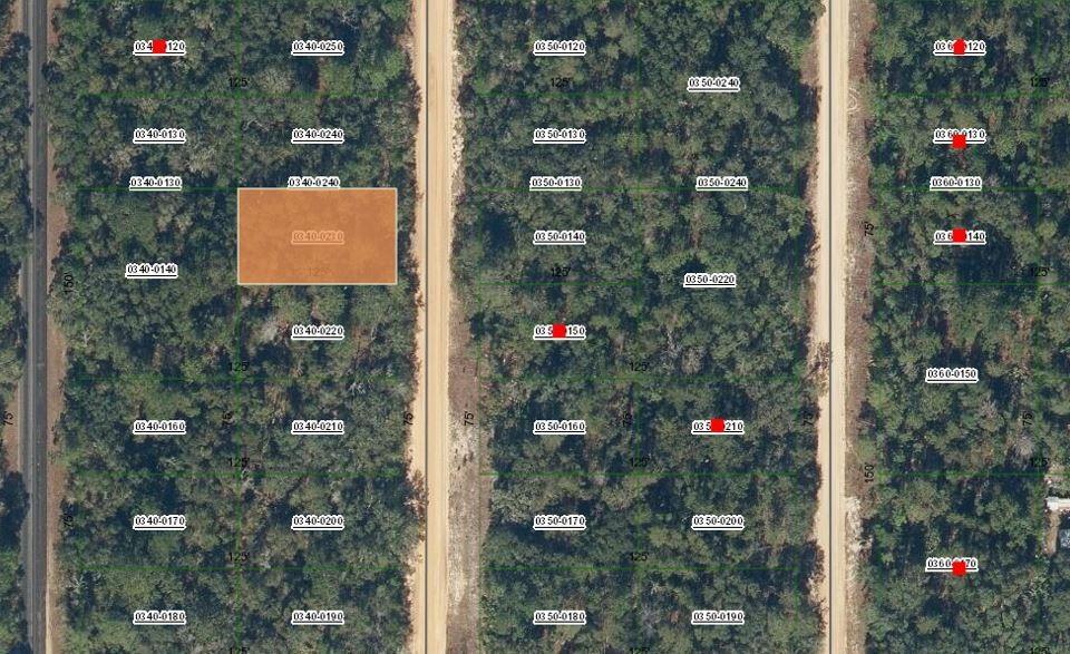 0 David Avenue, Interlachen, FL 32148, Interlachen - Photo 2