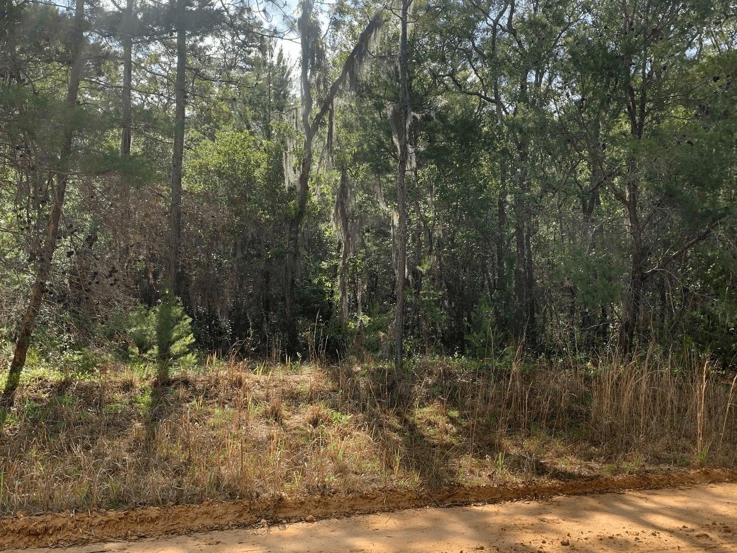 0 Shappell Avenue, Interlachen, FL 32148, Interlachen