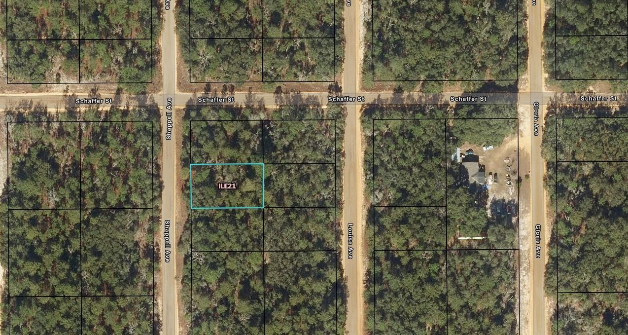 0 Shappell Avenue, Interlachen, FL 32148, Interlachen - Photo 2