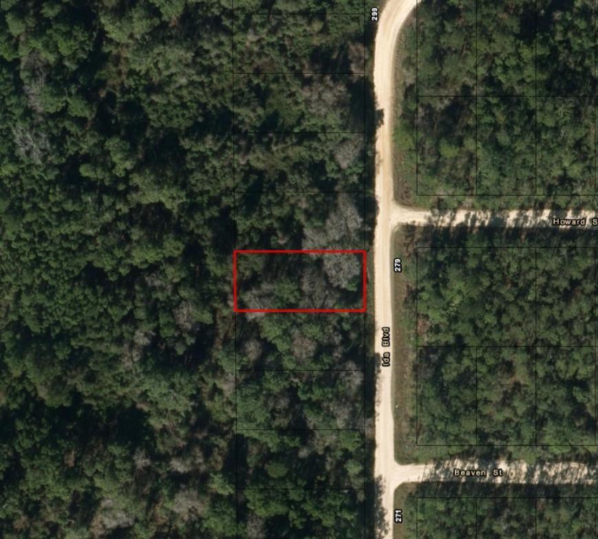 0 Ida Boulevard, Interlachen, FL 32148, Interlachen
