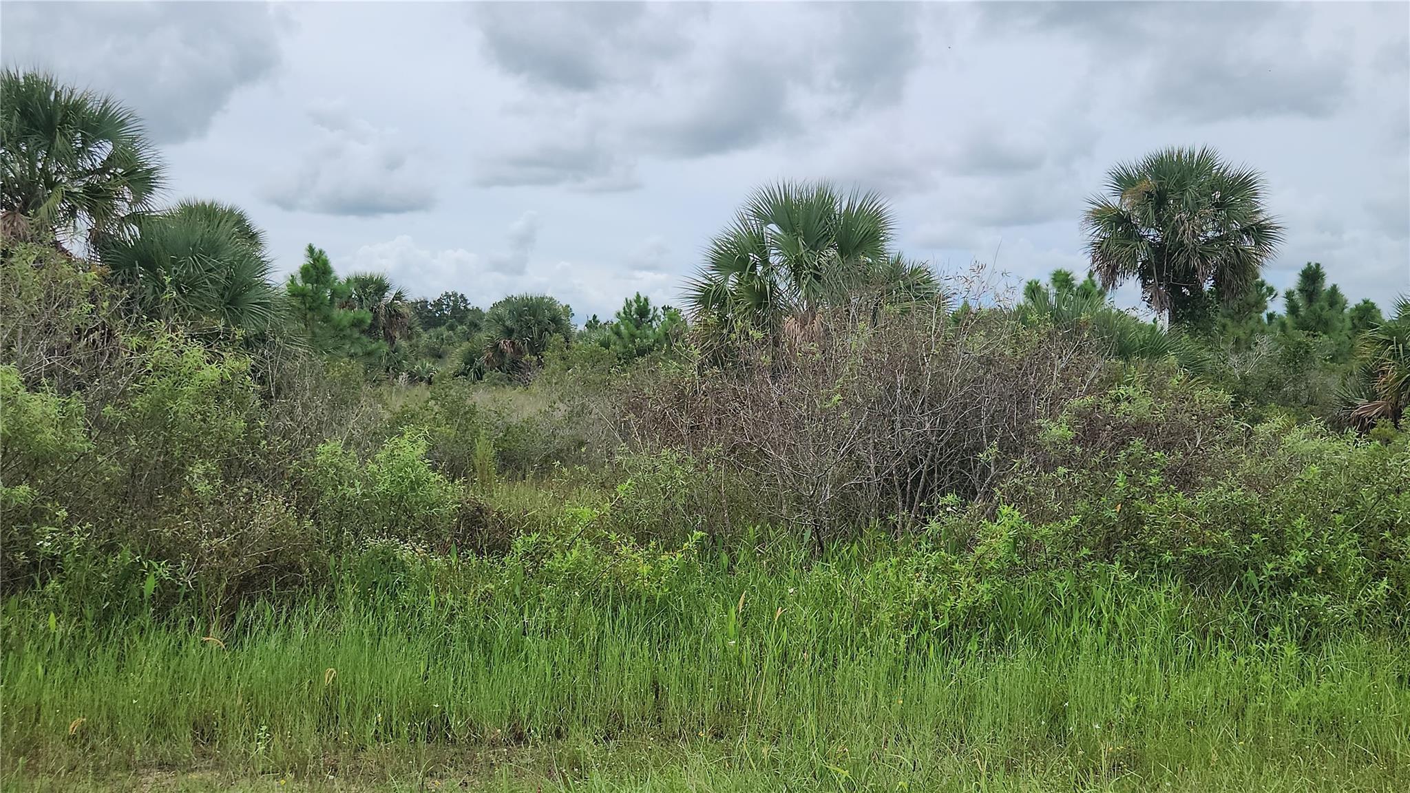 14988 NW 316th Street, Okeechobee, FL 34972, Okeechobee - Photo 2