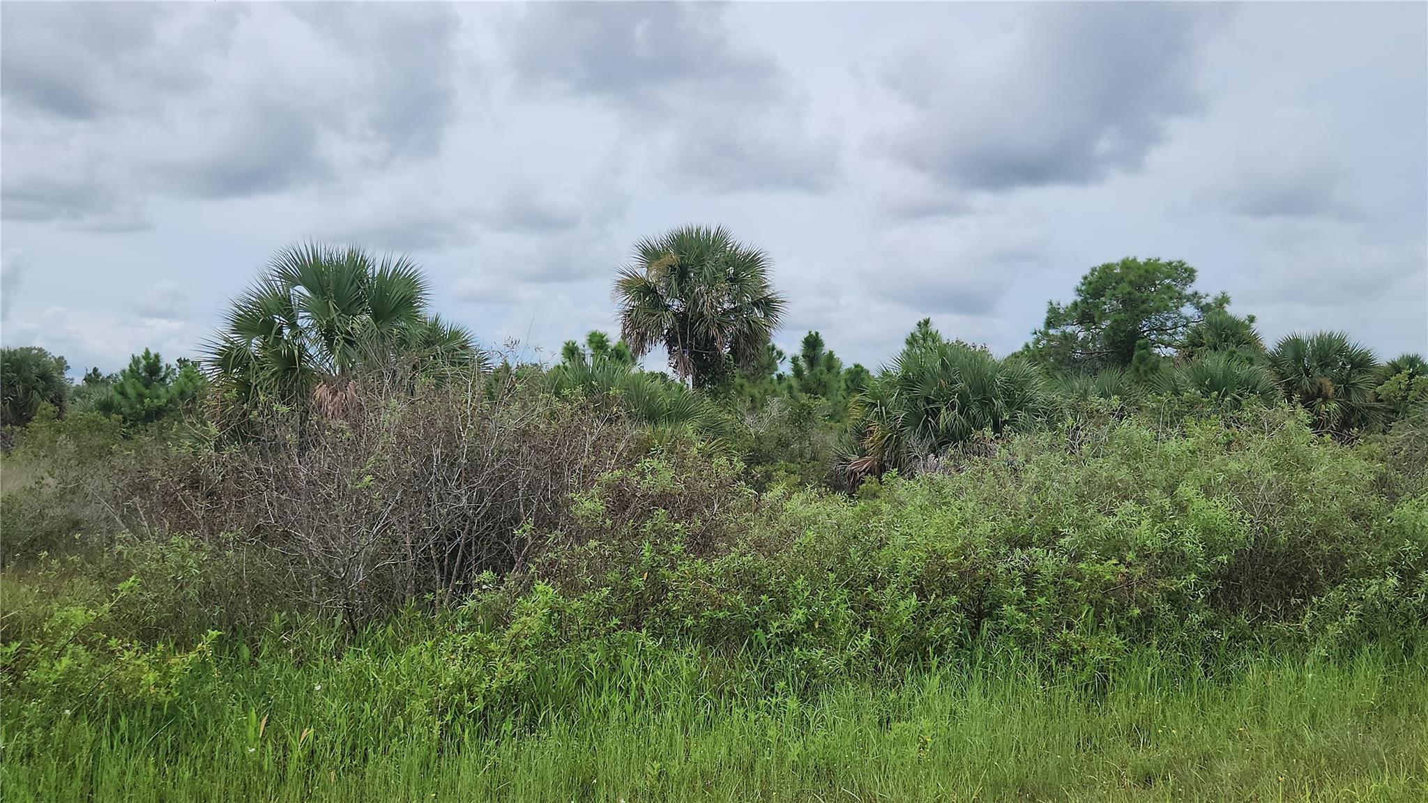 14988 NW 316th Street, Okeechobee, FL 34972, Okeechobee - Photo 3