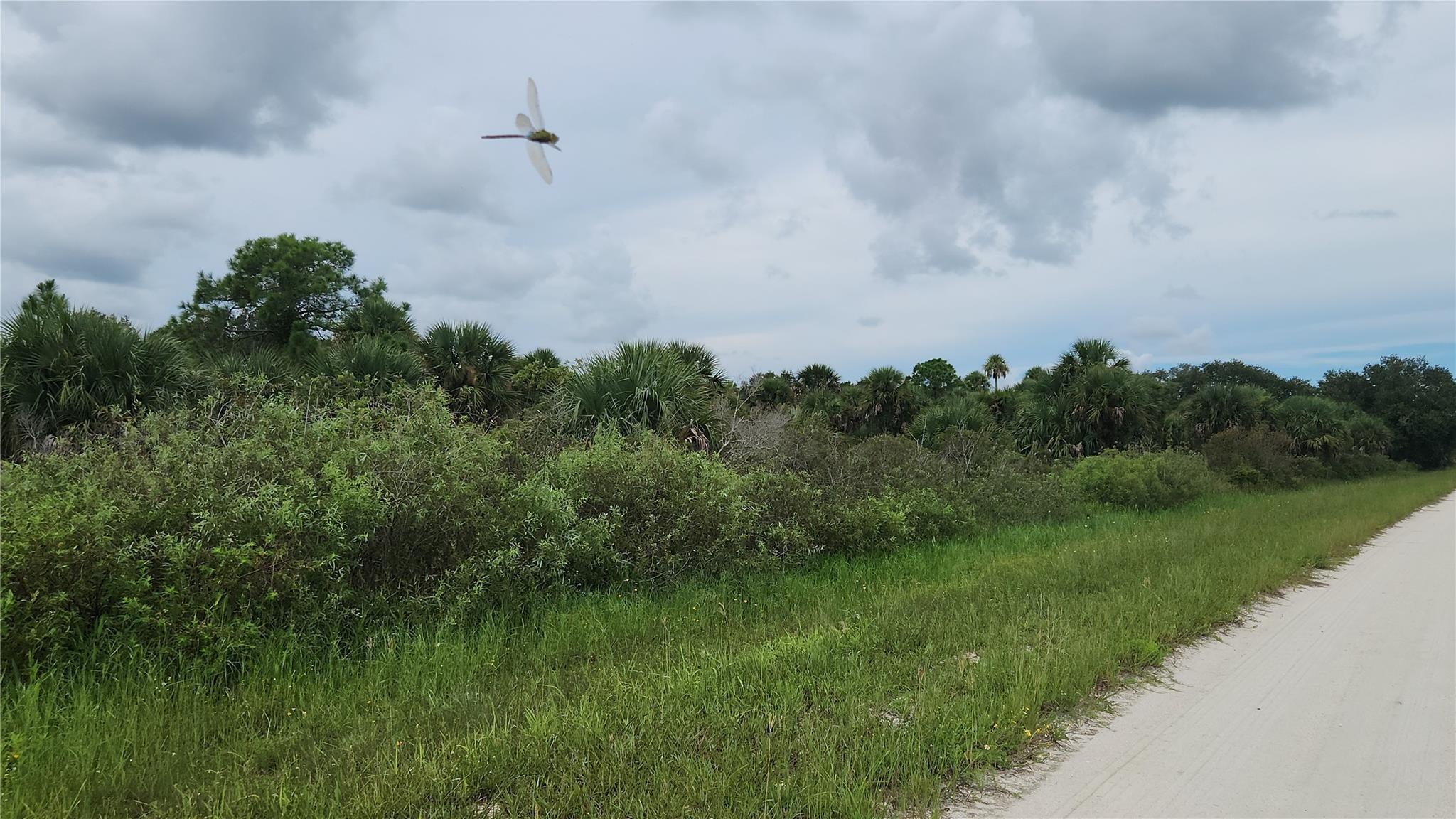 14988 NW 316th Street, Okeechobee, FL 34972, Okeechobee - Photo 4