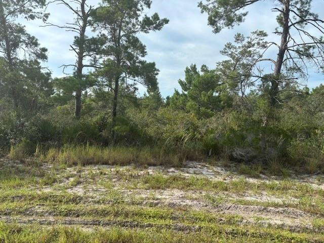 0 Cypress Street, Interlachen, FL 32148, Interlachen