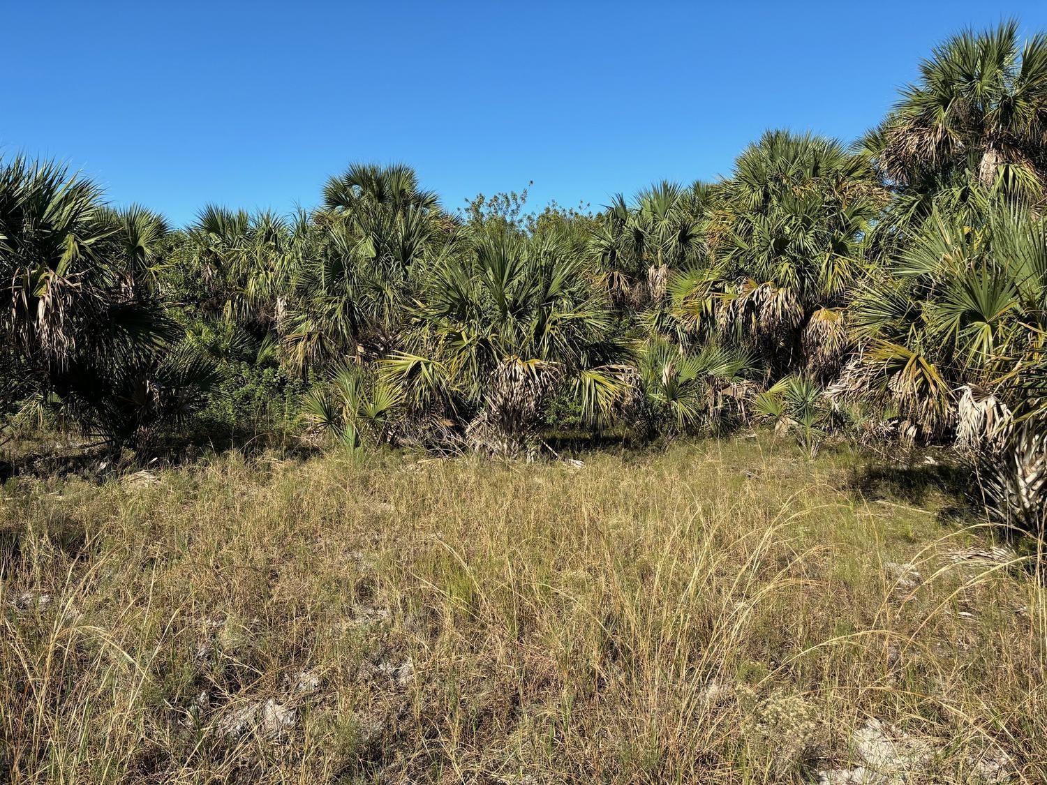 3223 SW Mockingbird Avenue, Palm Bay, FL 32908, Palm Bay - Photo 2