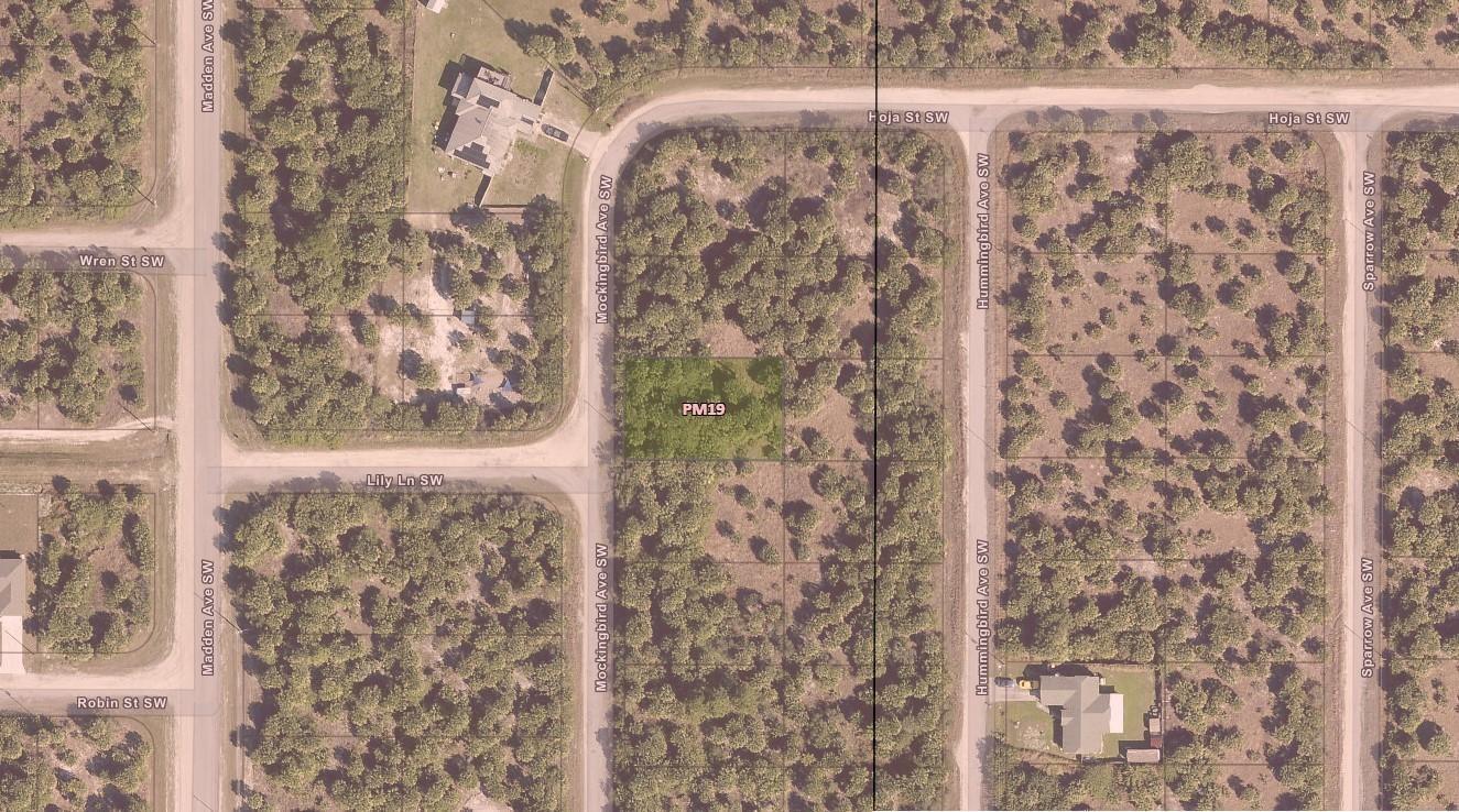 3223 SW Mockingbird Avenue, Palm Bay, FL 32908, Palm Bay - Photo 4