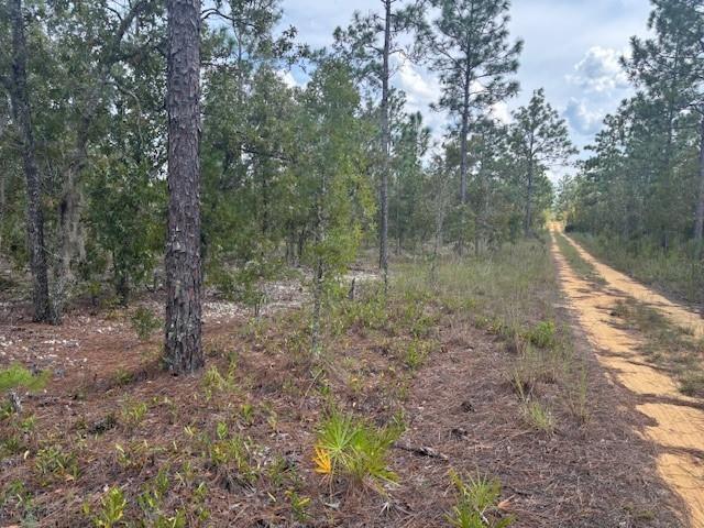 0 Gray Street, Interlachen, FL 32148, Interlachen - Photo 2