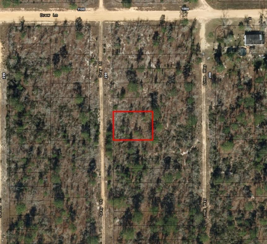 0 Gray Street, Interlachen, FL 32148, Interlachen - Photo 4