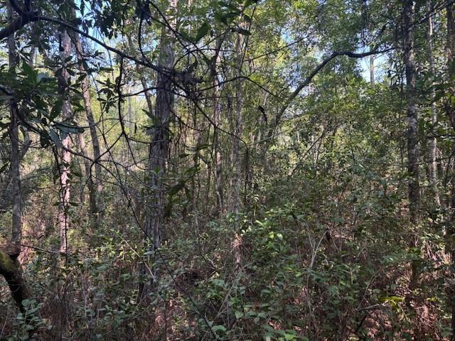 224 SE 8th Avenue, Palatka, FL 32177, Palatka - Photo 2