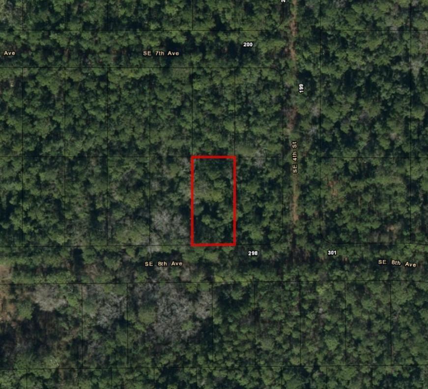224 SE 8th Avenue, Palatka, FL 32177, Palatka - Photo 3