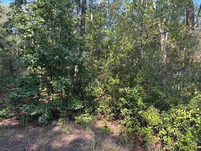 0 SE 8th Avenue, Palatka, FL 32177, Palatka