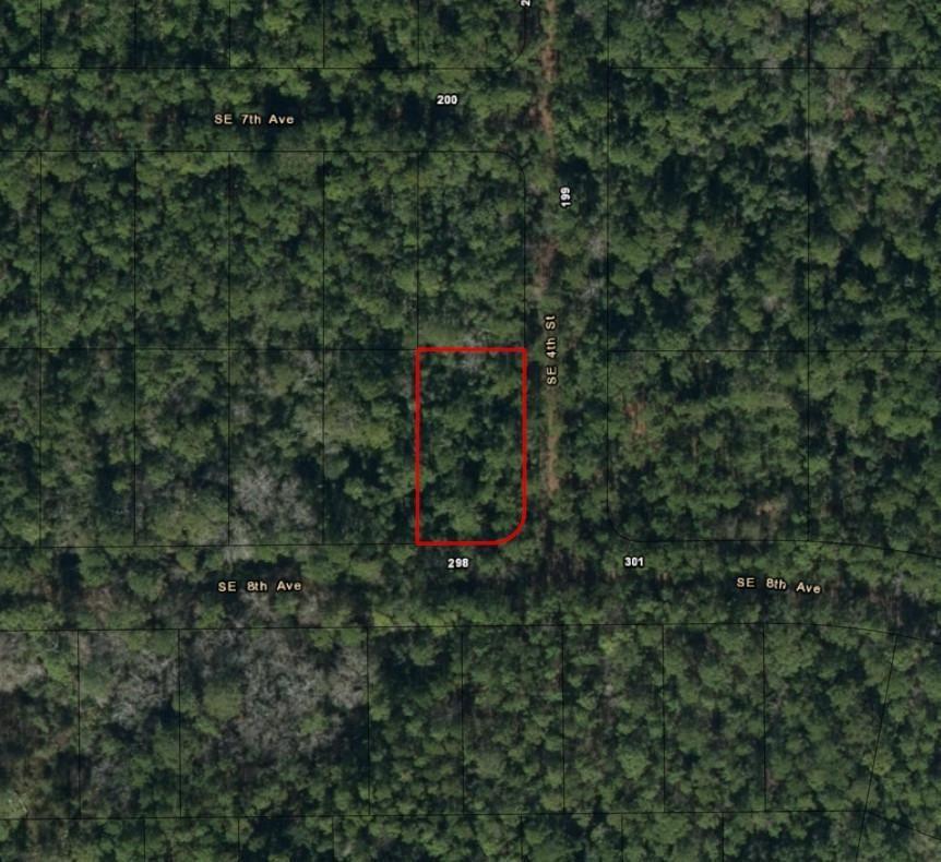0 SE 8th Avenue, Palatka, FL 32177, Palatka - Photo 2