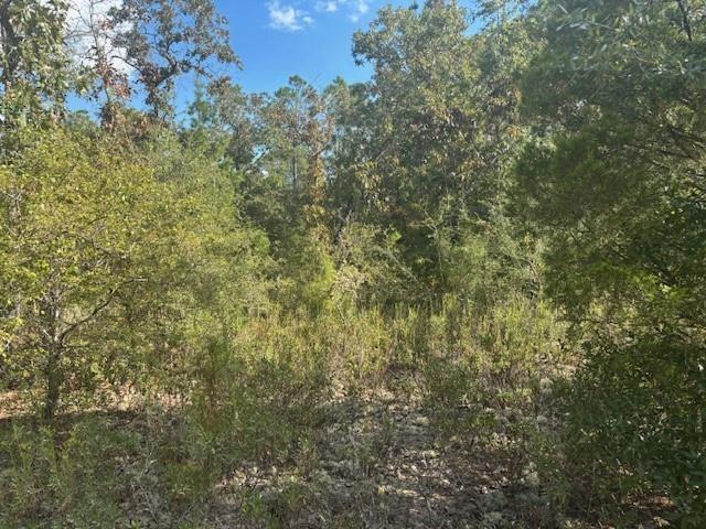 0 Nezperce Drive, Alford, FL 32420, Alford - Photo 2