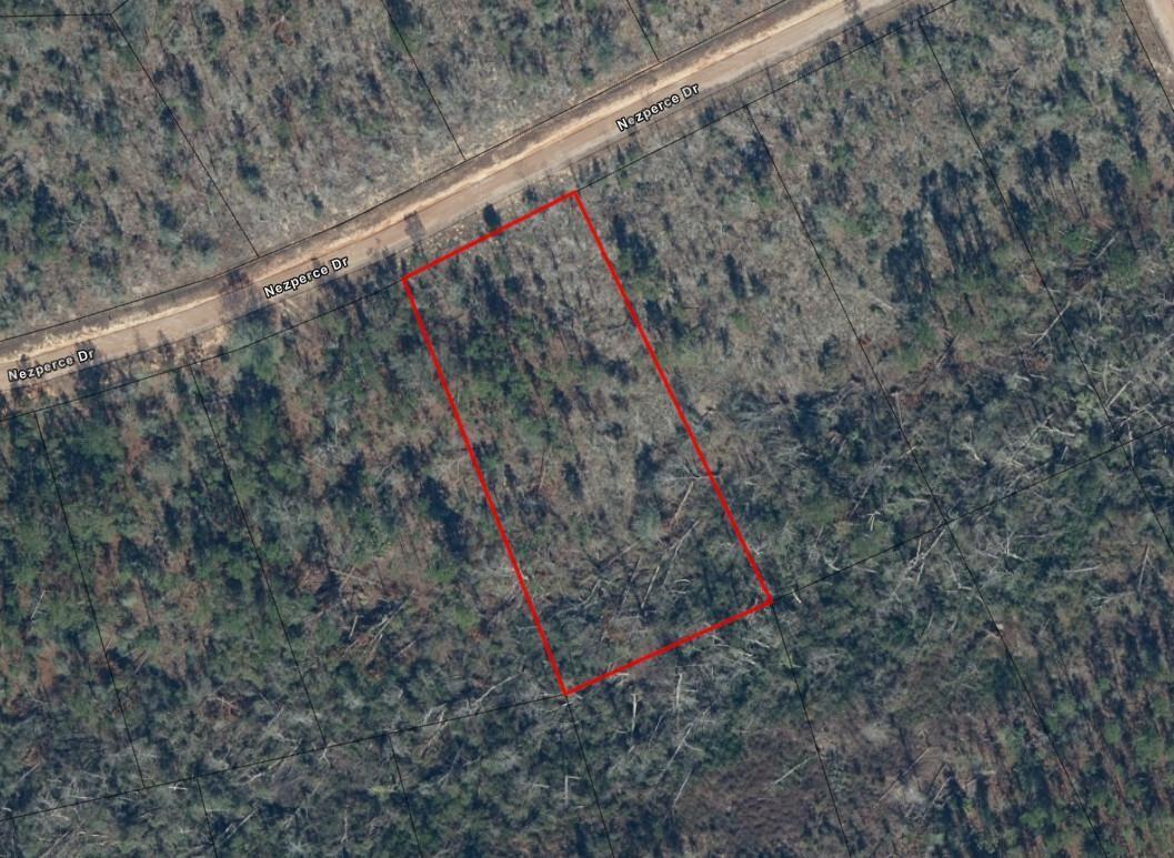 0 Nezperce Drive, Alford, FL 32420, Alford - Photo 3