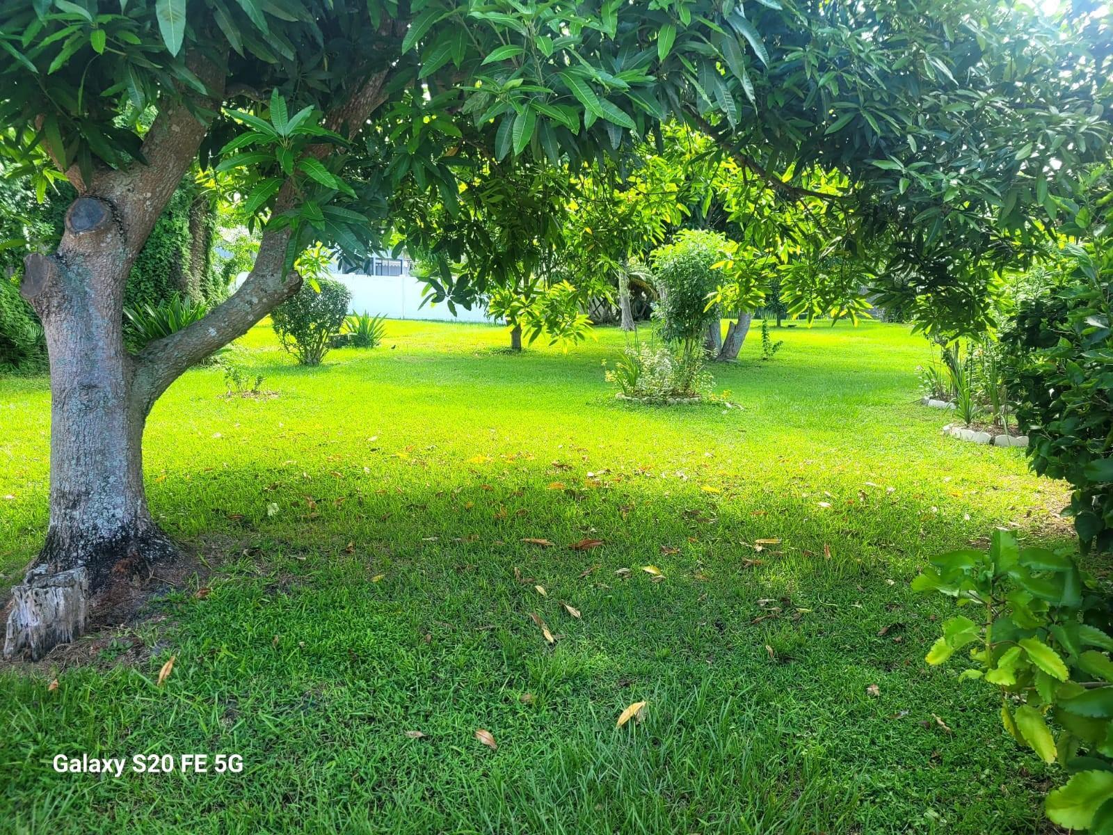 650 SE Strait Avenue, Port St. Lucie, FL 34983, Port St. Lucie - Photo 3