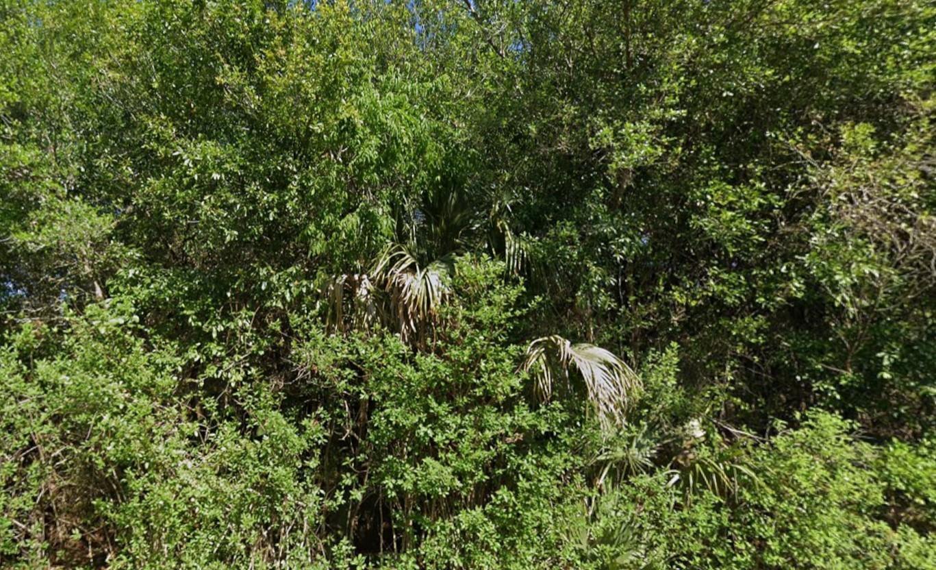 4702 Vera Avenue, Lehigh Acres, FL 33971, Lehigh Acres - Photo 4