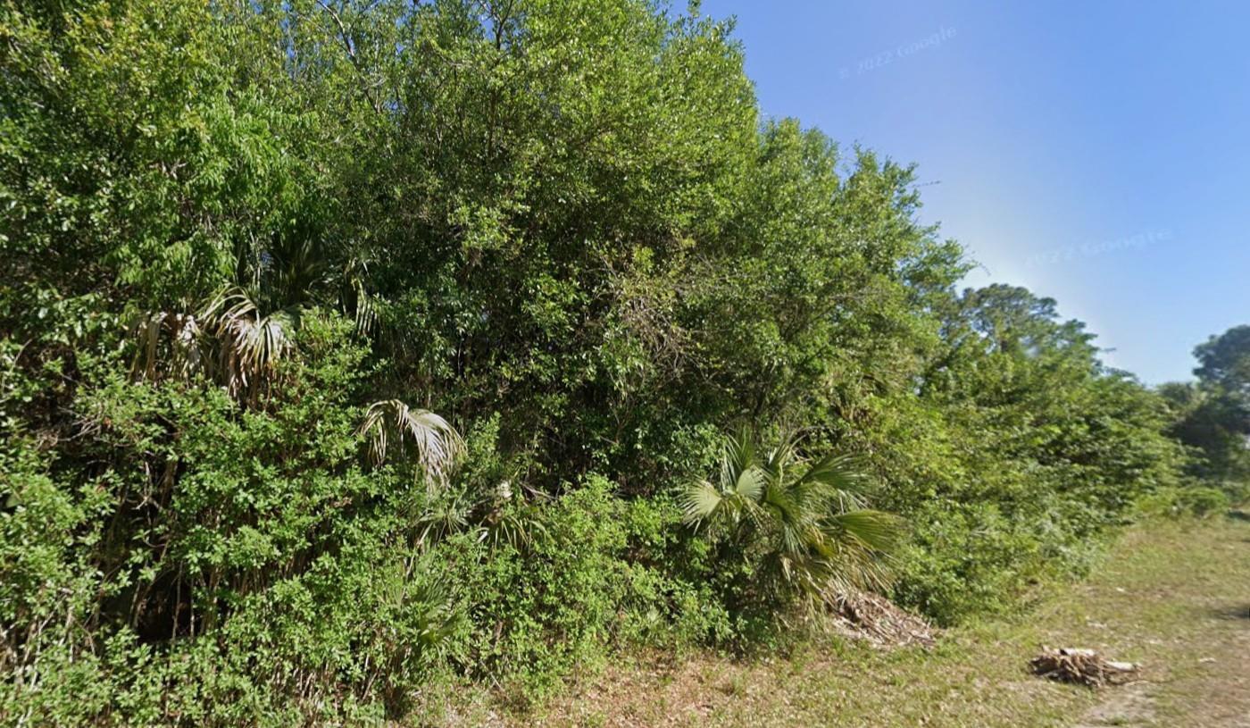 4702 Vera Avenue, Lehigh Acres, FL 33971, Lehigh Acres - Photo 5